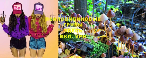 ALPHA PVP Белокуриха