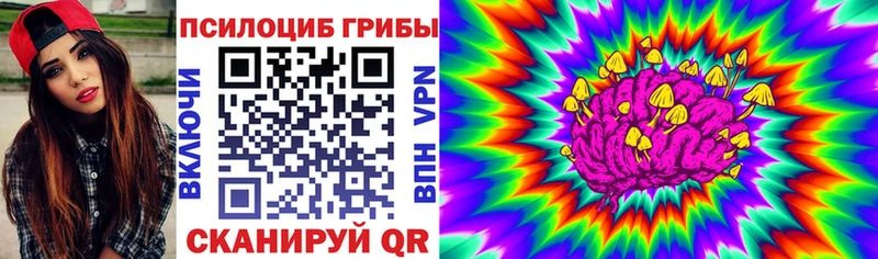 мега зеркало  Сегежа  Псилоцибиновые грибы Magic Shrooms  где продают наркотики 