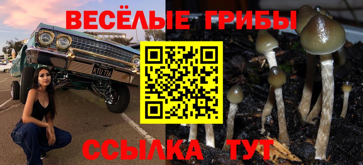 Галлюциногенные грибы Psilocybe  Вход с VPN  Сегежа 